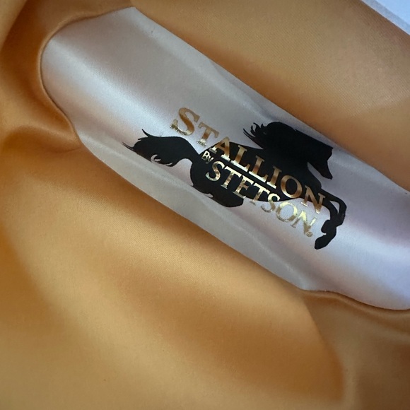 Stetson White 3X Cowboy Hat - Picture 5 of 7